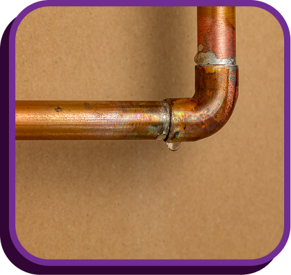 Professional Leak Detection in College Station, TX
